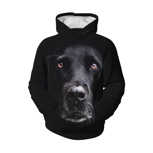 Black Labrador Boy, Girls Sports Shirt Youth Pullover Fashion Hooded Sweatshirt4