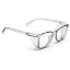 Transparent Gray&clear Lens
