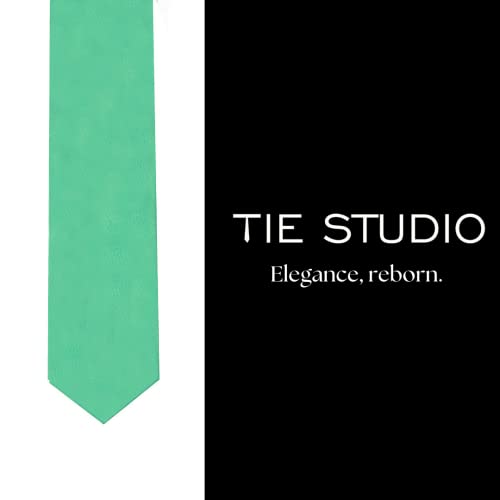 Image of TIE STUDIO Mens Formal Neckties| Standard Size | Premium fabric | Superior finishing| Packaging - Folder | Set of 1