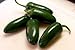 Fresh Whole Jalapenos (3 Lb)