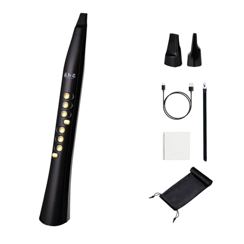 INGPARTNER Y8 Digitaler Blasinstrument Elektronisches Blasinstrument mit Bluetooth 2 Mundstücke 2 Finger 94 Töne 12 Schlüssel 20W Stecklautsprecher, Geeignet für Erwachsene