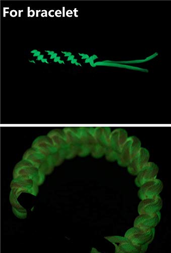 Outdoor Paracord Cord, Glow in The Dark 550 Luminous 9 Strand Parachute Skydiving Rope for Keychain, Dog Collar, Garden Bundling, Camping, Survival (25ft)