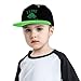 I Like Turtles Snap Back Hat Boys Girls Fashion Hip Hop Adjustable Flat Bill Hat Green