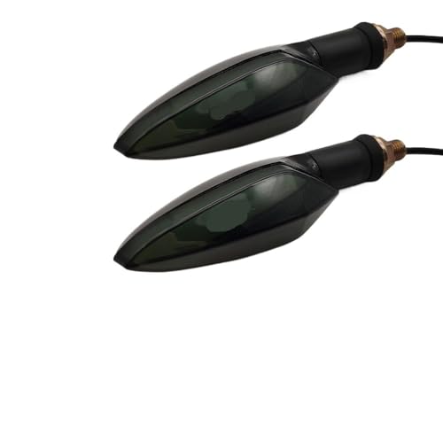 Clignotants de moto directionnels à haute visibilité pour Burgman et GS500E