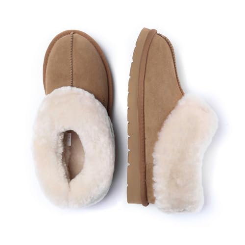 Women Ibis Slippers, US3