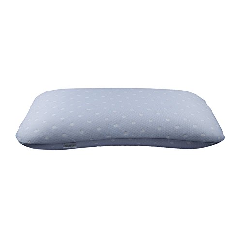 Image of The White Willow Vintage Blue 1 Piece Signature Dual-Sided Reversible Memory Foam Pillow -23 inch L x 15.5 inch W x 5 inch H, with Polka Dot Design Cover