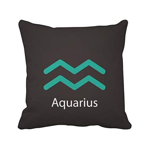 Coussin Verseau idée cadeau anniversaire personnalisée janvier - 2