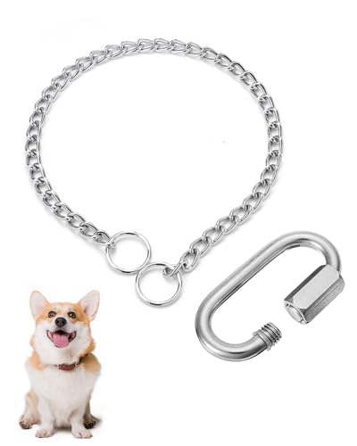 DLPRK Collare Cane Taglia Grande in Acciaio Inox 1 Pezzo, Regolabile con Moschettone, Catena a Doppio Anello 60 cm per Addestramento e Passeggiate