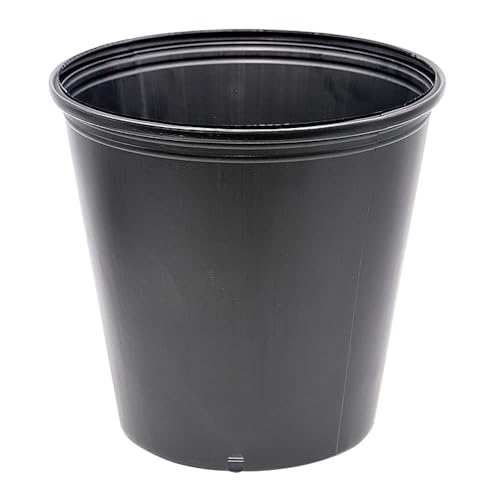 ���C���� ���߂�|�b�g �� �� 27cm 12400cc