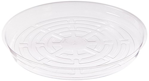 Hydrofarm HGS12 Clear 12-Inch, Pack of 10 Saucers