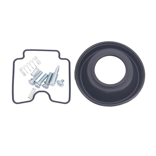 Kit reparación carburador para modelos DRZ400E y DRZ400S 7