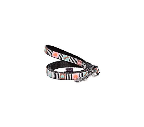 Bobby Musique Dog Leash, Pastel (M)