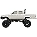 Dodoore RC Rock Crawler WPL C64-1 RC Truck, 1:16 Scale 2.4GHz Remote Control Truck, 4WD All Terrain Off-Road RC Crawler with LED Lights and 2 Rechargeble Batteries for Adults (White)