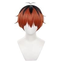 Amazon.co.jp: Akixen 葬送のフリーレン ヒンメル ウィッグ コスプレ