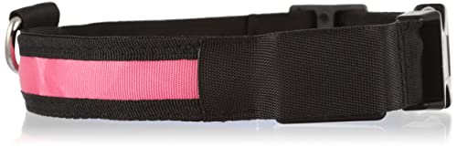 Collier LED chien rose étanche KABB rechargeable USB ajustement 65cm