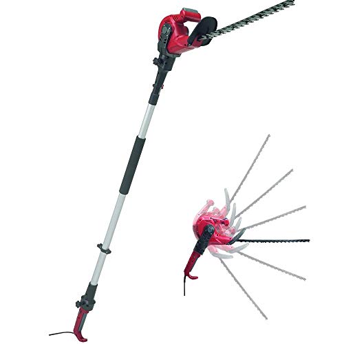 Eckman EKEHT2 - Cortasetos telescópico 2 en 1 de Largo y Corto Alcance, Color Gris