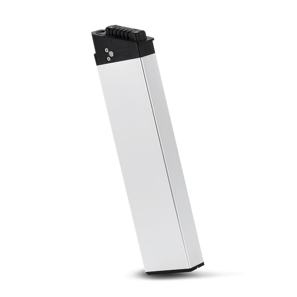Batterie E-Bike 48V 11,6Ah pour Moteur 250W/350W/800W Batterie Intube | Compatible Fiido M1 Pro, BEZIOR XF200, Samebike LO26