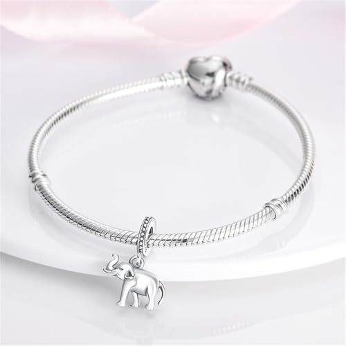 HONGRUI 925 Sterling Silver Charm for Women Bracelets and Necklace Fashion Bead Charms Clearance for Mother Daughter Sisters Friends Jewelry Gift4