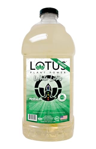 Skinny White Lotus Plant Energy Drink Concentrate | Zero Sugar | 64 fl oz | 1:5 | Natural Caffeine from Green Coffee Bean