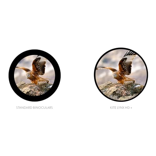 Kite Optics Lynx HD + 8x30 Binoculares miniatura 4