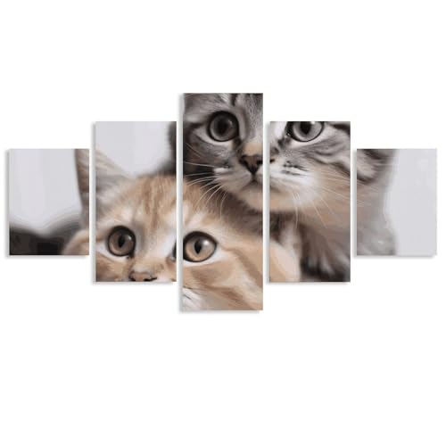Tableau chat en 5 panneaux encadrés pour décoration de salon moderne