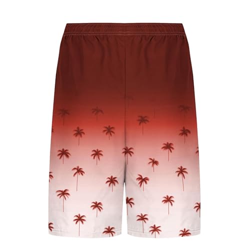 Mens Summer Casual Beach Shorts 2 in 1 Trunks Comfortable Quick Dry Elastic Waist Shorts Graphic Coconut Tree Print3