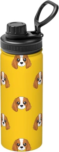 킢 LoA XpjG(1) Aj  ^fM ۉ ۗ X|[c{g lC XeX{g X|[cΉ RȂ 530ml j̎q ̎q  l q ObY LN^[ ni174