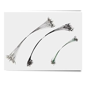 Vislijn Anti Bite Steel Fishing Line 15cm-30cm Steel Draadleider met Swivel Fishing Accessoire Lead Core Leash Fishing Draad Sterk en betrouwbaar, gemakkelijk mee te nemen (Color : Black-12cm-20pcs)