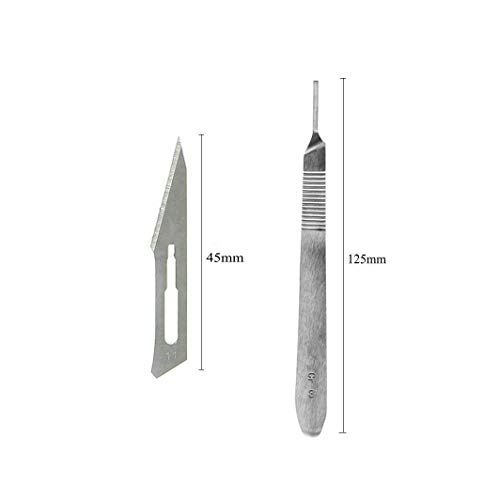 10 Pcs Sterile 11# Scalpel Blades with Handle for Dermaplaning, Sewing, Fruit Crafts, Medical Use