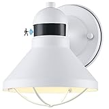 LONEDRUID Dusk to Dawn Motion Sensor LED Outdoor Barn Light Fixtures White Exterior Wall Lantern Wat