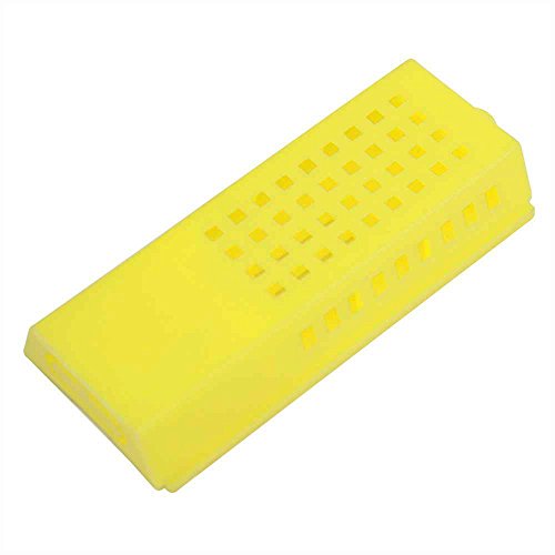 GOODLAND BEE SUPPLY GLQCAGE-Y Bienenkäfig, Kunststoff, 7,6 x 3,8 x 1,3 cm, Gelb Cover