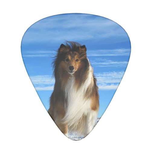 Ensemble de 12 médiators de guitare pour chien Shetland mignon pour guitare acoustique, guitare électrique, contrebasse… - Les Beatles, Paul McCartney, John Lennon, RIngo Starr, George Harrison Ensemble de 12 médiators de guitare pour chien Shetland mignon pour guitare acoustique, guitare électrique, contrebasse…