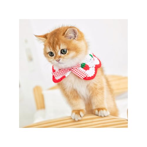 L̎ lN^CtqL̎ C`S ߉\ Ȏq X^CbVȔL̕Ƒ(Xgx[-L-30.04cm)