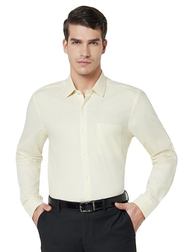 Image of Arrow Men's Cotton Striped Slim Fit Shirt
