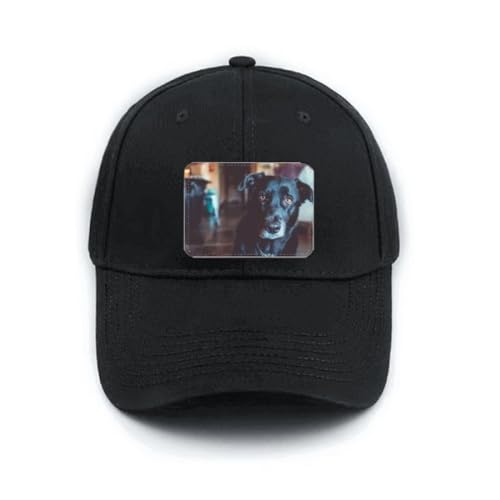 Casquette de baseball noire réglable avec motif animal pour un style décontracté