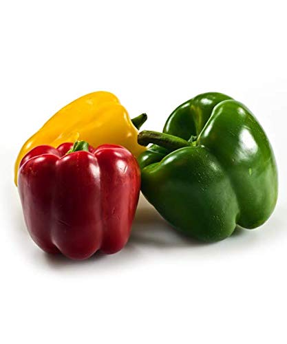 Creative Farmer Vegetable Seeds Capsicum Hybrid Seeds (Mixed Colour) Seeds - Capsicum ?Seeds Seeds For Grow Bag Home Garden Seeds (B07N48FFFQ) Amazon Price History, Amazon Price Tracker