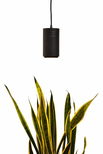 Aspect Soltech Gen 2 – World’s First Decor Grow Light