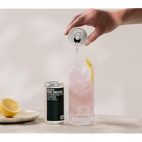 Buy MOTH Premium Pink Gin Fizz Cocktails – Ready Mixed, Bar Strength in Cans
