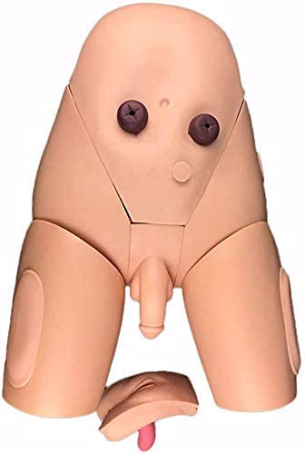 Modèle Simulateur Cathétérisme Homme Femme Ensemble Formateurs Cathétérisme Hommes Et Femmes