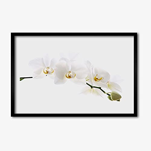 Photo affiche avec cadre 60x40 fleurs d'orchidée image murale salon chambre MDF