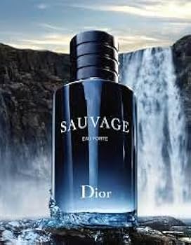 SAUVAGE EAU FORTE ソヴァージュ オーフォルト 100ml Amazon.com : Dior Christian Sauvage Eau Forte Parfum For Men 3.4