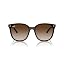 Transparent Brown/Gradient Brown