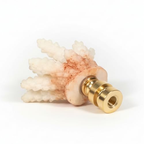 Image of Royal Designs, Inc. Sea Life Lamp Finial, Large Coral, Two-Tone White, Polished Brass Base, Replacement Finial for Table or Floor Lamps