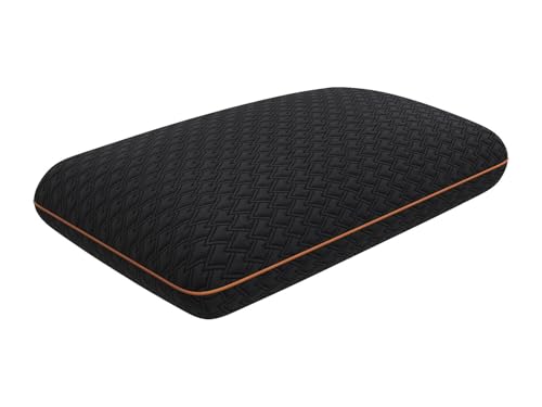 Vente-unique - Oreiller Respirant à mémoire de Forme Charbon - Déhoussable - 40 x 60 cm - Noir - BALDIA