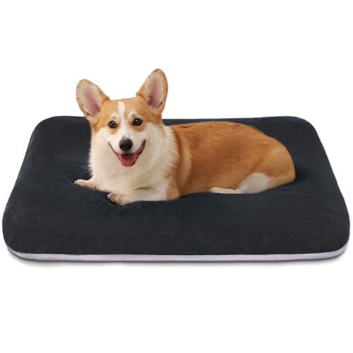 Image of Magic Dog Orthopedic Medium Dog Bed 32 Inch, Super Soft Small Pet Bed