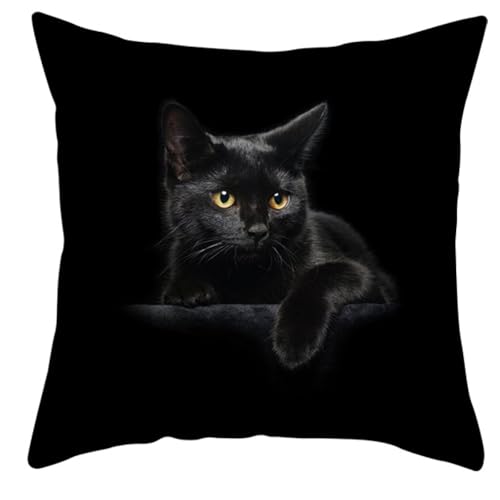 Funda Cojin 80x80 Gato Negro Amarillo Funda Almohada Tejido Suave Poliéster Cojines Sofa Cama Lavable Transpirable Cojines Decorativos para Hogar Sofá Dormitorio Coche