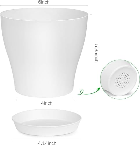 Macetas, Lawn & Patio Imagen adicional