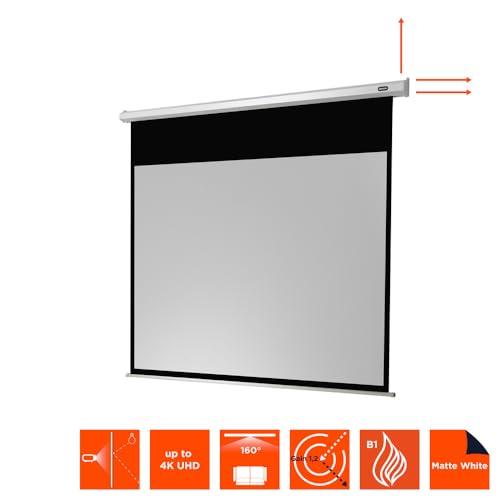 celexon Economy Motor-Leinwand 130 | 300x169 cm 16:9 | elektrische 4K,Full-HD Beamer-Leinwand f&uuml;r B&uuml;ro-Pr&auml;sentationen & Ihr Heimkino | zur Wand- und Deckenmontage | inkl. Fernbedienung