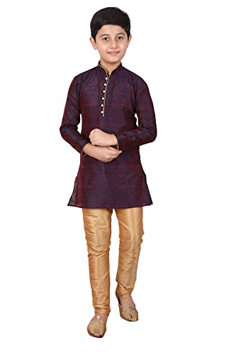 Opiniones y reviews de Ropa de Hípica para Niño los mejores 5. 45 Pro-Ethic Style Developer - Juego Kurta de seda para niños | Ropa tradicional india | 1 a 16 años | Paquete de 1 (S-106), Azul, 2-3T