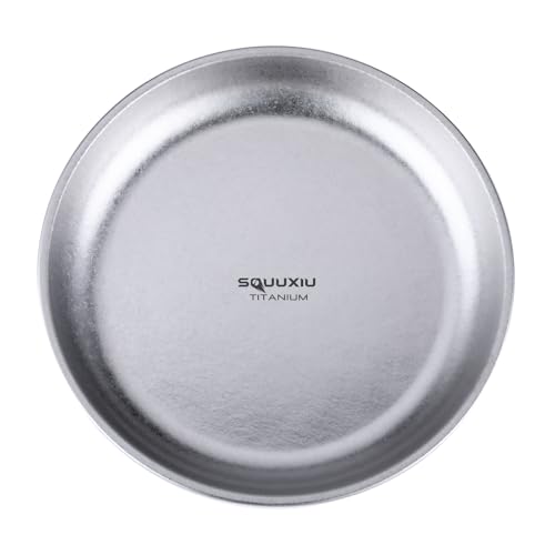 Portable Camping Plate Lightweight 800ml Capacity Outdoor BBQ Picnics Camp Plates Purple Blue (primary color)